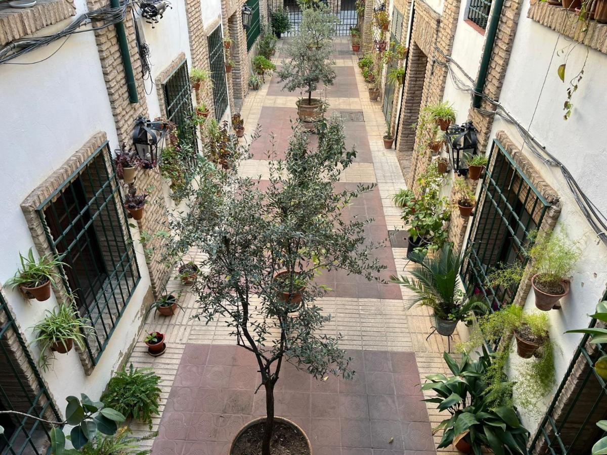 Precioso Loft Con Excelente Ubicacion Apartment Kordoba Bagian luar foto